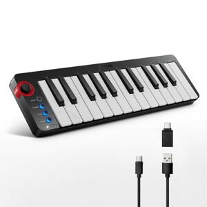 Donner MIDI�L�[�{�[�h 25�� USB�R���g���[���[ �~�j���� �R���p�N�g �x���V�e�B�Ή� ���y���� ���{��戵������ �u���b�N N-25