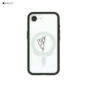 yz~btB[ IIIIfit vvt[ iPhone16e Ή P[X vvt[P[X miffy XibtB[ C[tBbg iPhoneP[X iPhoneJo[ ACtHP[X ACtHJo[ v