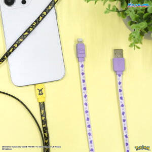 yz|PbgX^[ Lightning Ή [dP[u |P CgjOP[u iPhone [dP[u ACtH [dR[h 1.2m 120cm [d iPad AirPods sJ`E ^ 