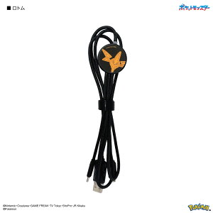 yz|PbgX^[ tbV}`[dP[u |P [dP[u sJ`E QK[ g qgV ~~bL p Lightning CgjO Type-C micro USB iPhone Android 