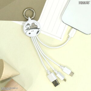 yz s[ibc Xk[s[ }`[dP[u @\ P[u [d Lightning CgjO Type-C micro USB EbhXgbN r[OXJEg 50N ObY iPhone ACtH Android Ah