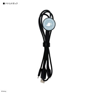 yzfBYj[LN^[ ^ tbV}`[dP[u fBYj[ @\ P[u [d Lightning CgjO Type-C [dP[u P[u micro USB iPhone~bL[ ~j[ h