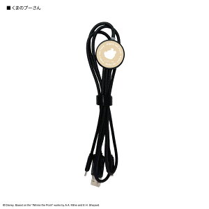 yzfBYj[LN^[ ^ tbV}`[dP[u fBYj[ @\ P[u [d Lightning CgjO Type-C [dP[u P[u micro USB iPhone~bL[ ~j[ h