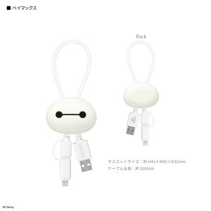 yzfBYj[LN^[ ^ }XRbgJo[t }`[dP[u fBYj[ xC}bNX v[ [dP[u @\P[u [d Lightning CgjO Type-C micro USB iPhon