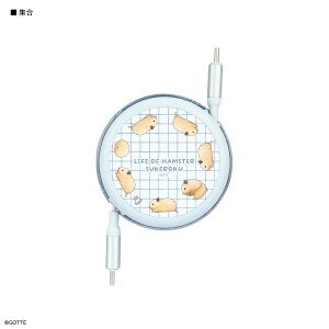 yzZ̓ PD60W Ή USB2.0 [ Type-C P[u nX^[ Z ^CvC P[u typec R[h USB-C usbc RpNg P[u[ ^ }[d X}z[d oC[d [