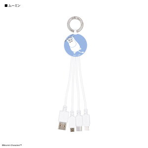 yz[~ }`[dP[u @\ P[u [d Lightning CgjO Type-C micro USB ObY g~C XitL jj XeBL[ Xjt juO iPhone ACtH