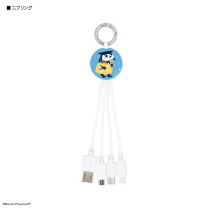 yz[~ }`[dP[u @\ P[u [d Lightning CgjO Type-C micro USB ObY g~C XitL jj XeBL[ Xjt juO iPhone ACtH