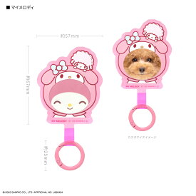 【公式】サンリオキャラクターズ フレームマルチリングプラス ハローキティ サンリオ マルチリングプラス マルチリング スマホリング スマホショルダー 推し活 グッズ マイメロディ クロミ ポムポムプリン シナモロール レッド ピンク パープル イエロー ブルー かわいい