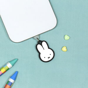 yz~btB[ USB Type-C Ή RlN^`[ RlN^Xgbv RlN^ANZT X}zANZT 킢 zCg ubN  ETM ^CvC ACtH iPhone PCANZ