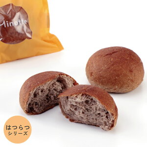 ubh 2 /p Ⓚ ς p p veCp H@ Lx ᓜ It N p wV[ p ͂ [jO