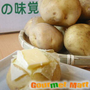 k LTCY 5kg kCY VN Yi VႪ j݈ n鏒 Ⴊo^[  Mtg