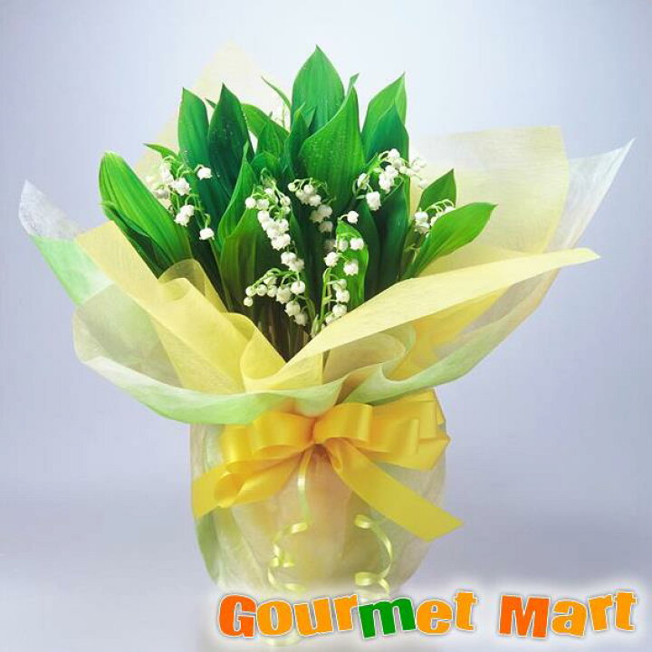 楽天市場 すずらん鉢植え 鉢花 幸運を運んでくる鈴蘭 送料無料 ラッピング すずらん スズラン お取り寄せ 母の日 ギフト 北海道グルメマート 楽天市場 すずらん鉢植え 鉢花 幸運を運んでくる鈴蘭 送料無料 ラッピング すずらん スズラン お取り寄せ 母の日 ギフト 北海道グルメマート