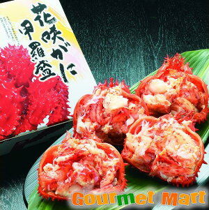 yzԍ炪ɍb(K-08)ԍI ϔ kCCNZbg Yi If 񂹒ʔ yY v[g 蕨  Mtg