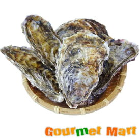 マルえもん(Lサイズ)10個セット 北海道産 牡蠣 カキ 殻付き 生食 母の日 ギフト 送料無料