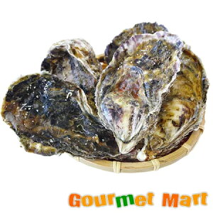 北海道産 牡蠣の人気商品 通販 価格比較 価格 Com 北海道産 牡蠣の人気商品 通販 価格比較 価格 Com