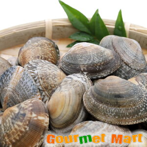 yX[p[Z[Ԓ10OFF/zݎY  TCY(1kg/60O)kCY  AT kt Yi Yi kC ʔ ʐM̔  ݂₰ yY yY 