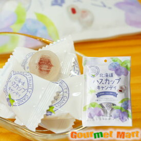 【送料無料】北海道ハスカップキャンディ70g×20袋