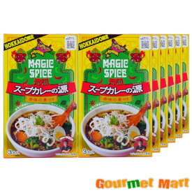 【送料無料】マジックスパイス スープカレーの源 3人前×12箱 札幌スープカレー 北海道スープカレー スープカリー スパイス