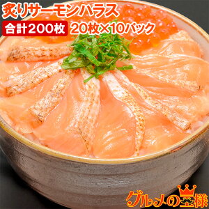  tT[nX tgT[XCX 160g il^p20×10pbN v100 T[̑gAnXtăXCX hg tT[ ĂT[ nX 