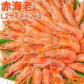 赤海老 2kg 特大 L2 40〜60尾 業務用 1箱 お刺身用赤えび。ぼたん海老を超える希少な超特大！大きくプリプリの赤海老は甘みが違う 赤えび 赤エビ あかえび アカエビ アルゼンチン 寿司 バーベキュー BBQ レシピ 築地市場 豊洲市場