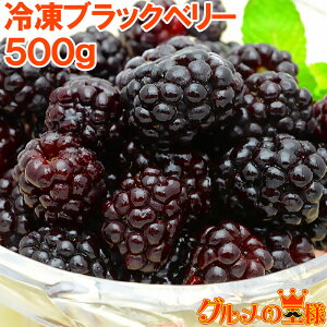  ⓀubNx[ 500g×1pbN Y eubNx[Ղ ⓀubNx[ nubNx[ Ⓚt[c ⓀfU[g ⓀHi Ɩp iiX X[
