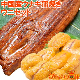 うにうなぎセット ＜梅＞ 超特大！うなぎ蒲焼き 平均330g前後×2尾 生ウニ 100g タレ付き 柔らかうなぎと生ウニの贅沢セット うなぎ ウナギ 鰻 うな丼 うな重 ひつまぶし 土用の丑 ウニ うに ギフト 築地市場 豊洲市場 おせち 単品おせち