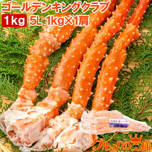  ^oKj S[fLONu ^oKjɂȂ| CoKj 5LTCY Ⓚd 1kgO ×1 Ki {CⓀ  ZNV  Jj I VN 