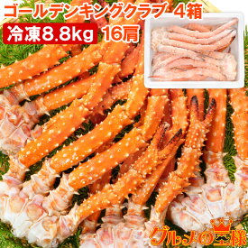 送料無料 ゴールデンキングクラブ 4箱 冷凍総重量 8.8kg 合計16肩 解凍後 7.2kg タラバガニにも負けない旨味 タラバガニ科 イバラガニ 正規品 ボイル冷凍 足 肩セクション かに カニ 蟹 豊洲市場 カニ鍋 焼きガニ かに脚 ギフト 贈答用 お歳暮 単品おせち 海鮮おせち