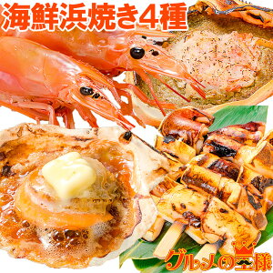  CNlĂ 4Zbg CNo[xL[Zbg Lv \Lv BBQ kCYق10 ɂ݂b2 ₶10{ ԊCV20 BBQZbg CN񂹓 Zbg 