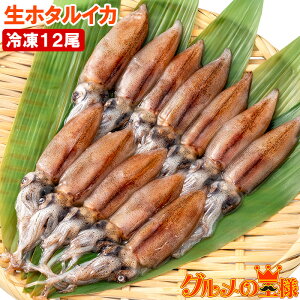 生 ホタルイカ 刺身の人気商品 通販 価格比較 価格 Com