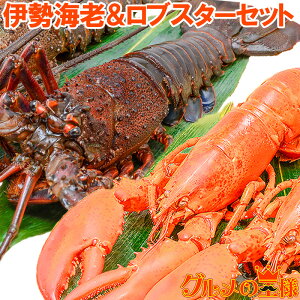 伊勢海老の通販 価格比較 価格 Com 伊勢海老の通販 価格比較 価格 Com
