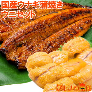 ɂȂZbg | 卑YȂĂ 165gO×2 Ej 100g ^t _炩ȂƐEjґZbg Ȃ EiM V Ș ȏd Ђ܂Ԃ yp̉N Ej  M