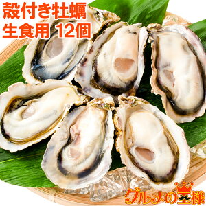 牡蠣 冷凍 殻付きの人気商品 通販 価格比較 価格 Com
