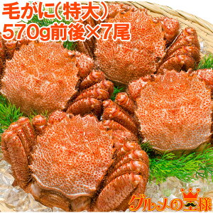  ъI т уKj KTCYIl䥂ŃKтɎp×1P[X v 4kg O 570gO×7 {C Ⓚ {[Ղg~\  Jj I zns LFs V