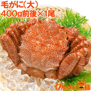 уKj ъI l䥂ŖтɎp 400gO×1 {C Ⓚ kCY ō I gJjX Ki Kj  Jj I Jj ɖX zns LFs  Pi 