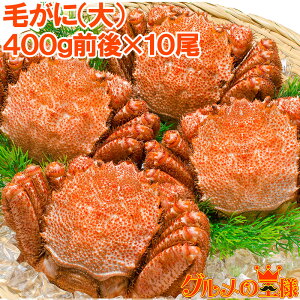  ъI т уKj l䥂ŖтɎp l䥂ŖтɎp 400gO×10 1P[X {C Ⓚ v 4kg g~\ {C Ⓚ  Jj I zn Vs  Pi Mtg