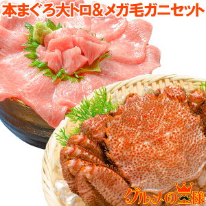  l䥂ŃKтɎp×1  570gO {CⓀ {܂g200gZbgI{[ՂIg~\  Jj I ъI уKj zns LFs  