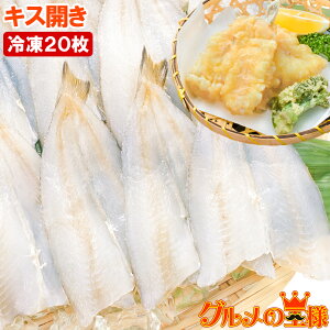  LXJ 20 550g Jς݂œVՂɂg܂ LXJ LX LXV V LX̂ĂՂ VՂ Vn Vw V Ɩp LFs Mtg