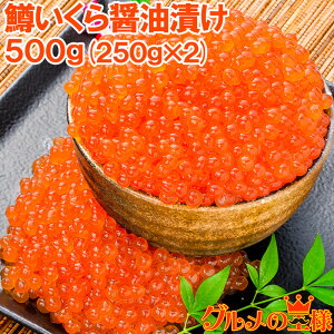  CNݖЂ v500g 250g×2 kC   ݖЂ q  ݖ 瘥 CN t tCN CN LFs i hg 