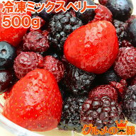 送料無料 冷凍ミックスベリー 500g×1パック 無添加の冷凍果実ミックスをたっぷりと ブルーベリー、ラズ…
