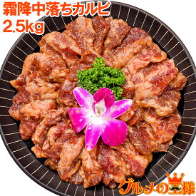 送料無料 中落ち カルビ 牛カルビ 焼肉 合計 2.5kg 500g×5パック 業務用 味付け カルビ肉 牛肉 肉 お肉 熟成牛 熟成肉 霜降 アメリカ産 カナダ産 鉄板焼き ステーキ BBQ バーベキュー お中元 お歳暮 築地市場 豊洲市場 ギフト