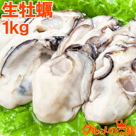 送料無料 生牡蠣 生食用 カキ 生牡蠣 1kg 冷凍時1kg 解凍後850g 冷凍牡蠣むき身 新製法で冷凍なのに生食…