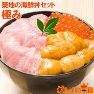 送料無料 築地の海鮮丼セット 極み 約2杯分 本マグロ大トロ特盛り200g＆無添加生うに＆北海道産イクラ。…