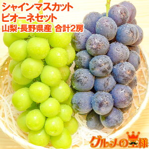 yzsI[l650gOさVC}XJbg600-700gOZbg R 쌧Y 1.3kgO v2[ 1 ysI[l VC}XJbg  Ԃǂ uhE  t[cz