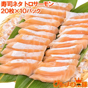  T[nXXCX T[ nX il^ hg XCX Ɩp 8g × 20 v160g×10pbN i T[ CN AgeBbNT[   Ⴏ Ⓚ 