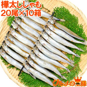 ししゃも 魚の人気商品 通販 価格比較 価格 Com ししゃも 魚の人気商品 通販 価格比較 価格 Com