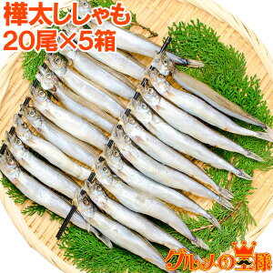 新しいコレクション カラフトシシャモ 栄養 117872 からふとししゃも 栄養 Sylviasangjp