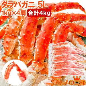  ^oKj ΂ ɑ5LTCY 1kg ×4Zbg Ⓚd 4kg O Ki {CⓀ  ZNV VN  Jj I ΊI ^oI ^o Jj ĂK
