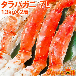  ^oKj ΂ ɑ7LTCY 2.6kgO Ⓚd1.3kgO×2Zbg Ki {CⓀ  ZNV VN  Jj I  ^o Jj ĂKj r 