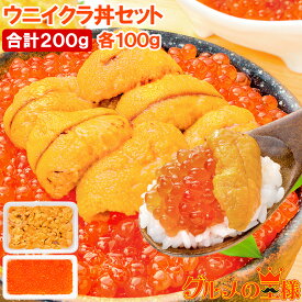 築地市場 豊洲市場のウニイクラ丼セット 2杯分 無添加生ウニ100g＆いくら醤油漬け100g 海鮮丼で約2杯分【うに ウニ いくら イクラ うにいくら丼 海鮮丼 手巻き寿司 寿司ネタ 刺身 福袋 築地 ギフト】 【FSJ】
